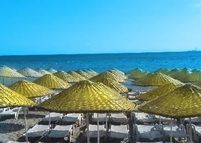 Letoon 3* ディディム